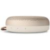 Bang & Olufsen BeoSound A1 Speaker Bluetooth Goud 1