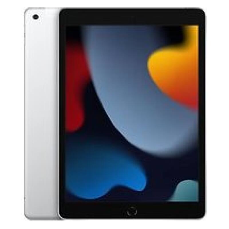 Apple iPad 10,2 256GB [wifi + cellular, model 2021] zilver 3
